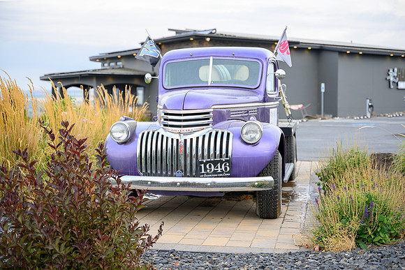 WA Wine Country 2024-11