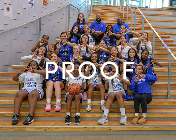 FW Girls Basketball-all teams