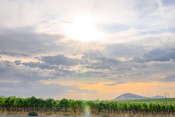 WA Wine Country 2024-04
