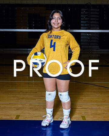 2024 Decatur Volleyball-09