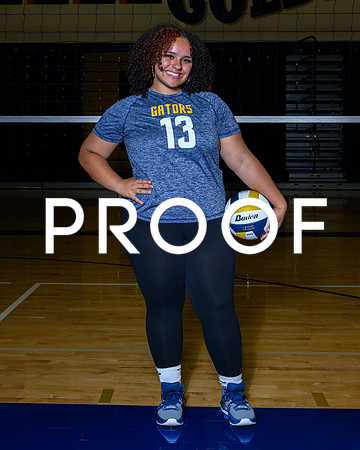 2024 Decatur Volleyball