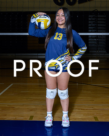 2024 Decatur Volleyball-03