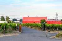 WA Wine Country 2024-15