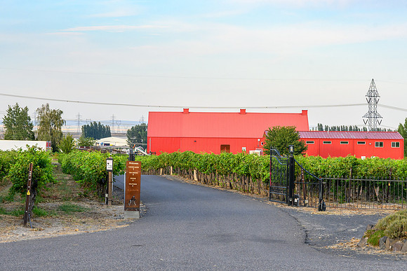 WA Wine Country 2024-15
