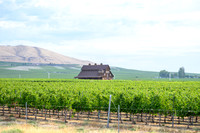 WA Wine Country 2024-01