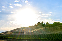 WA Wine Country 2024-18