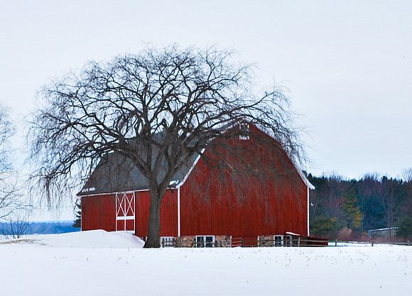 Sheboygan Co Farm Winter 3 2012 (2)