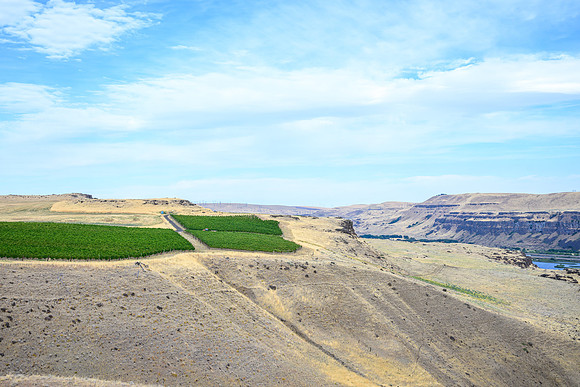 WA Wine Country 2024-21