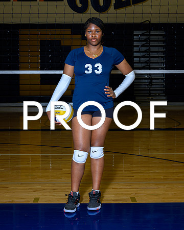 2024 Decatur Volleyball-01