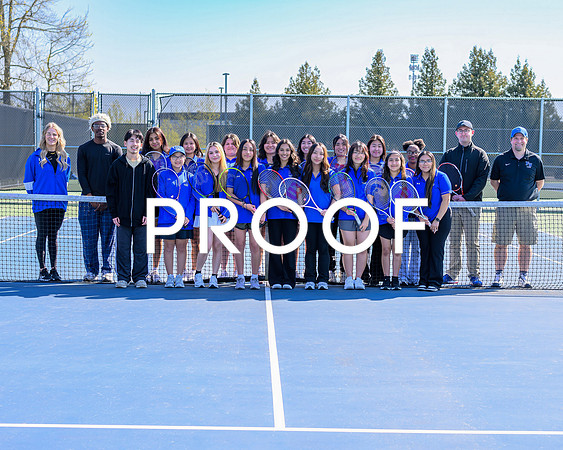 Tennis VAR Team