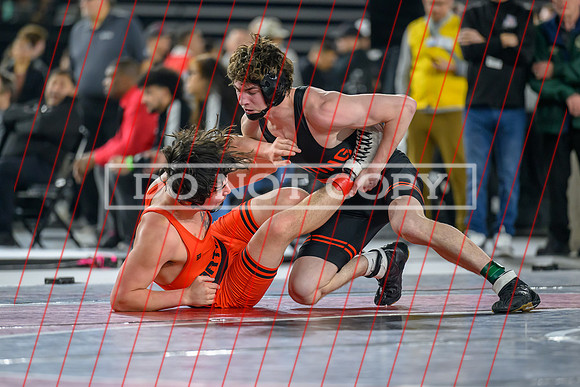 Harding-12